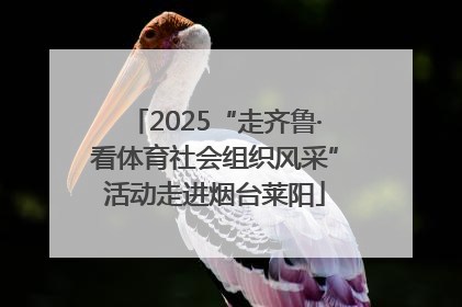 2025“走齐鲁·看体育社会组织风采”活动走进烟台莱阳